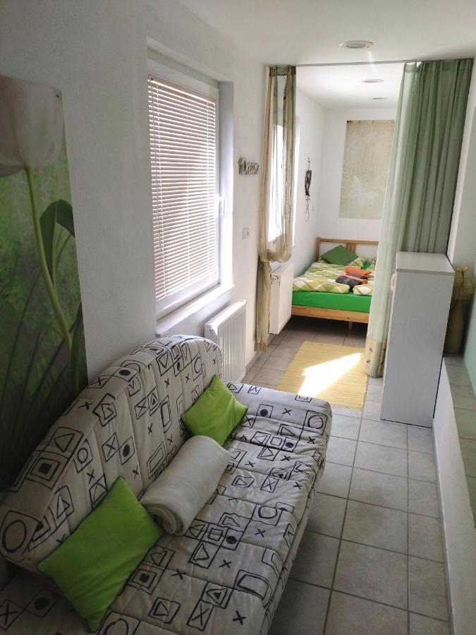 Apartma Peter1A Бегунье на Горенскем Екстериор снимка